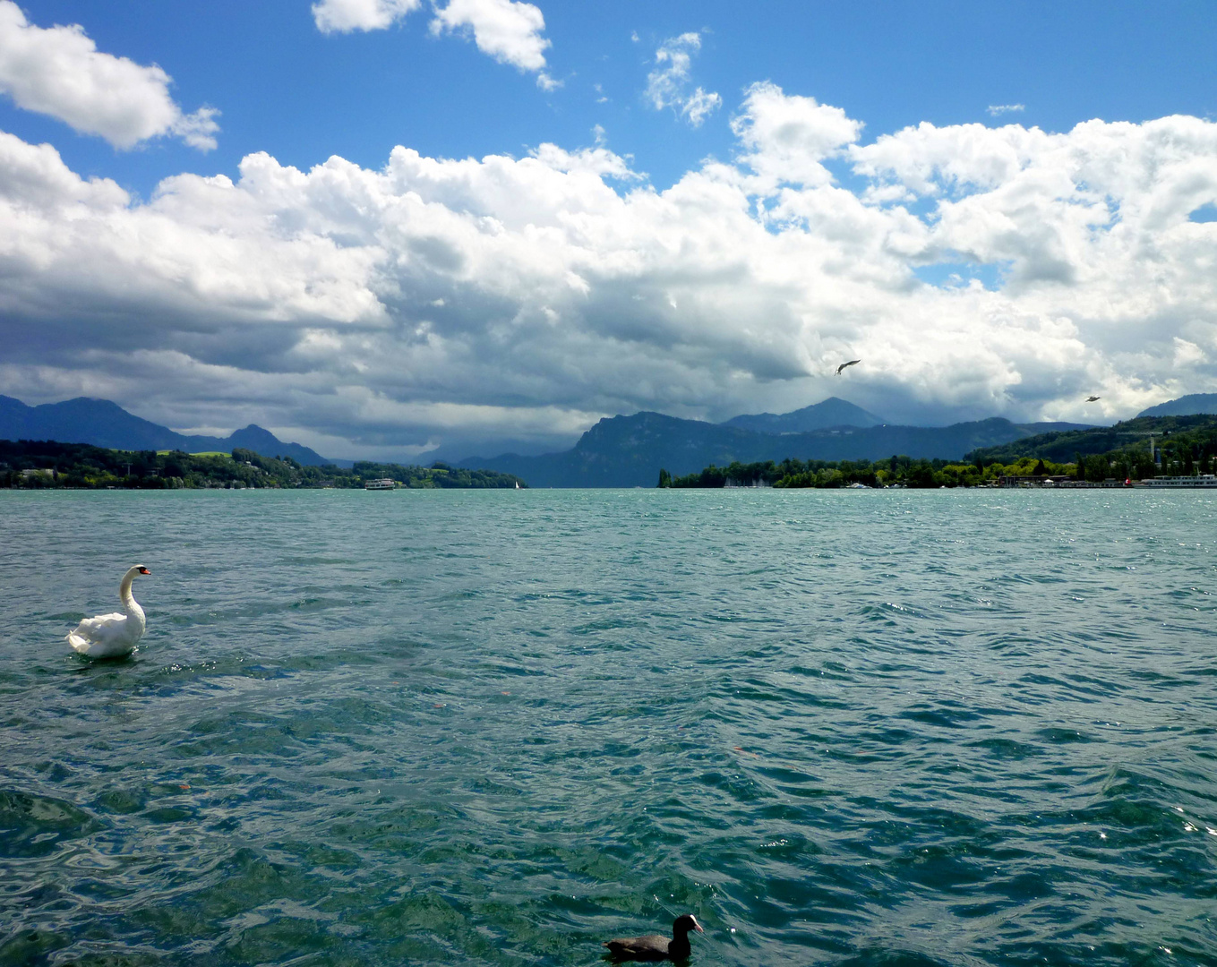 Panorama vom luzerner Seebecken aus ...