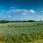 Panorama vom Münsterland