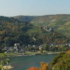 Panorama vom Rheinsteig auf Bacharach