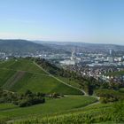 Panorama vom Rotenberg