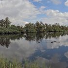 Panorama vom See in Cinovec - böhmischer Teil von Zinnwald auf dem Osterzgebirgskamm