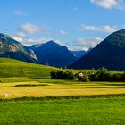 Panorama vom Tannheimer Tal