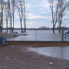 Panorama vom Yachthafen Wesel beim Hochwasser 2011