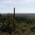 Panorama von Augustdorf