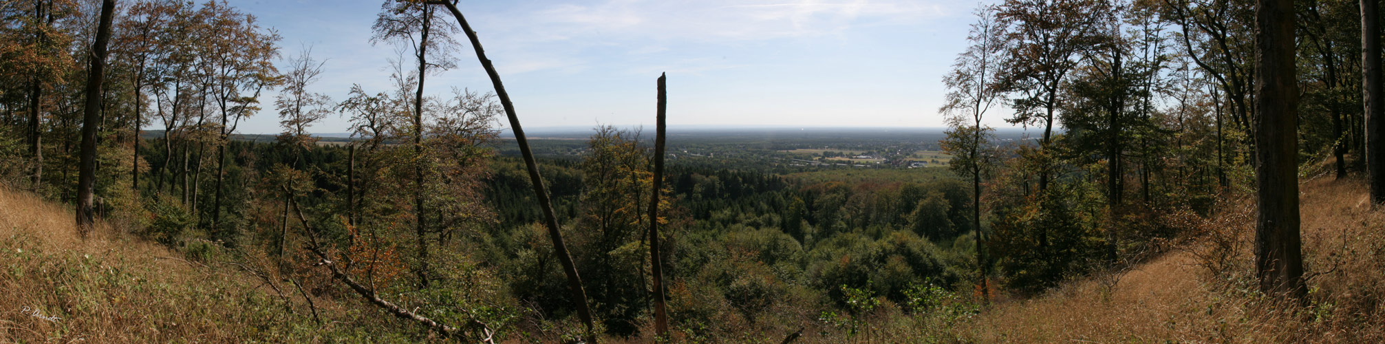 Panorama von Augustdorf