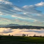 Panorama von Bremgarten