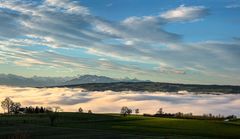 Panorama von Bremgarten