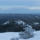 Panorama von der Hornisgrinde