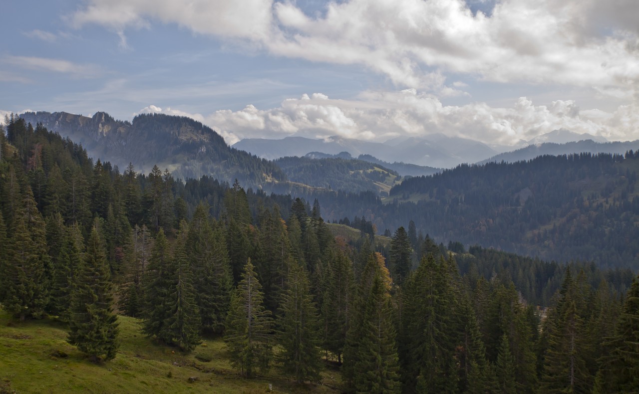 Panorama von der Mittelalpe