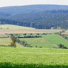 Panorama von der Plattenstrasse von Tannenberg Richtung Naturschutzzentrum Dörfel