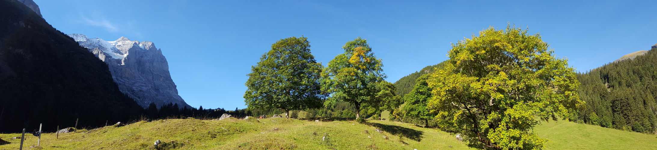 Panorama von der Schwarzwaldalp