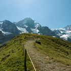 Panorama von Eiger, Mönch und Jungfrau im Berner Oberland