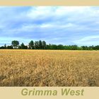 Panorama von Grimma