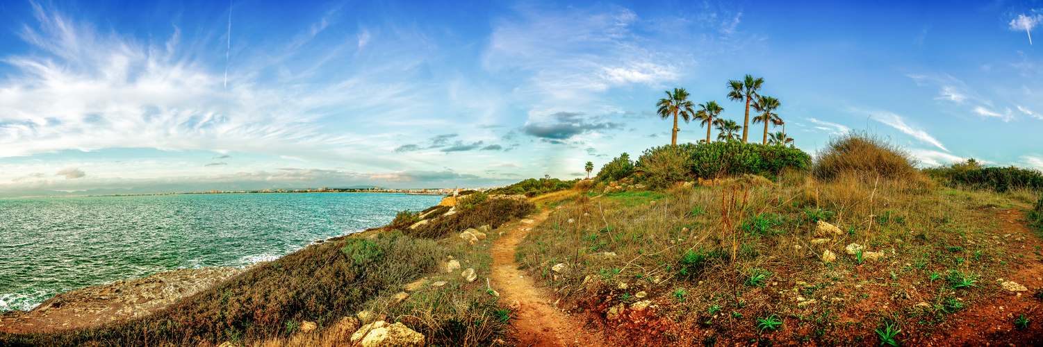 Panorama von Mallorca (Playa de Palma) von Son Veri Nou