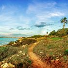 Panorama von Mallorca (Playa de Palma) von Son Veri Nou