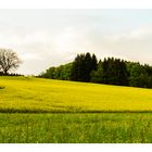 Panorama von meiner Heimat