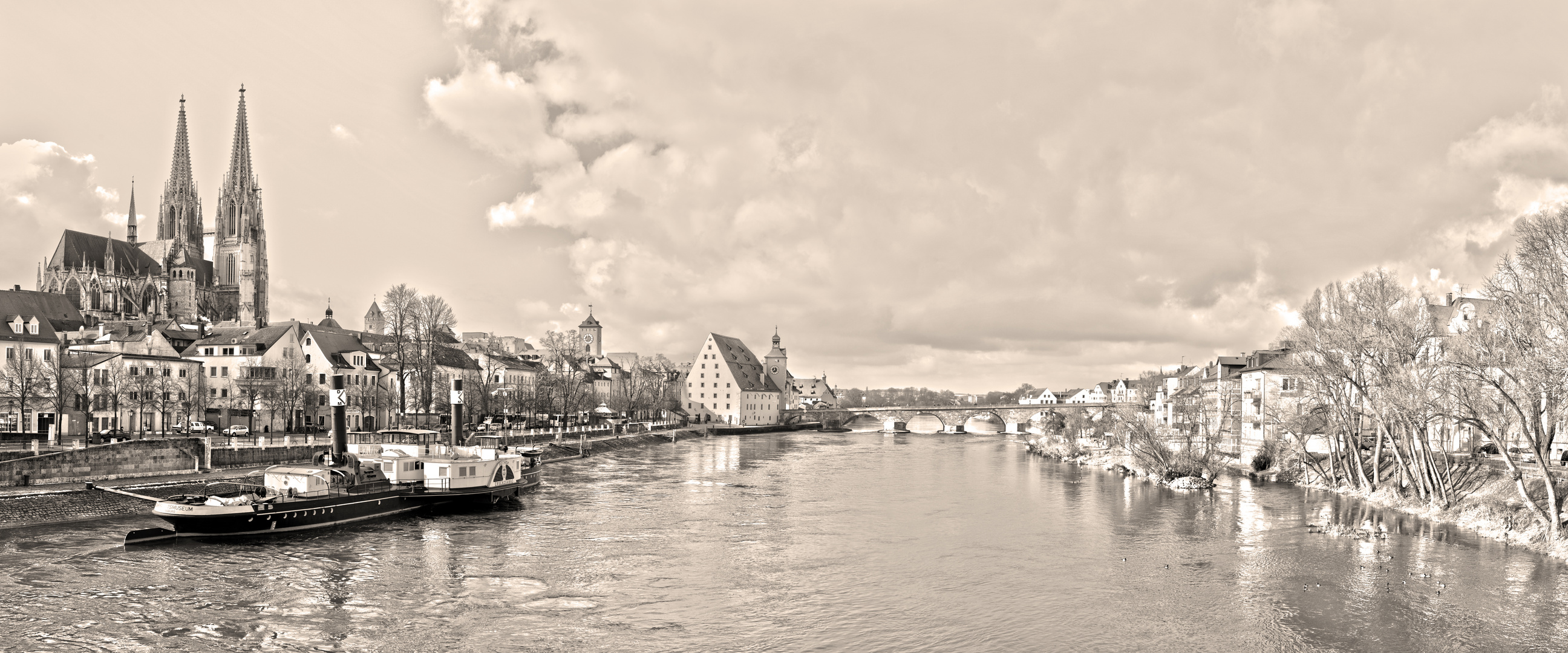 Panorama von Regensburg mit...