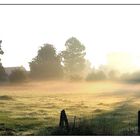 Panorama von Schloss Bloemersheim im Morgennebel