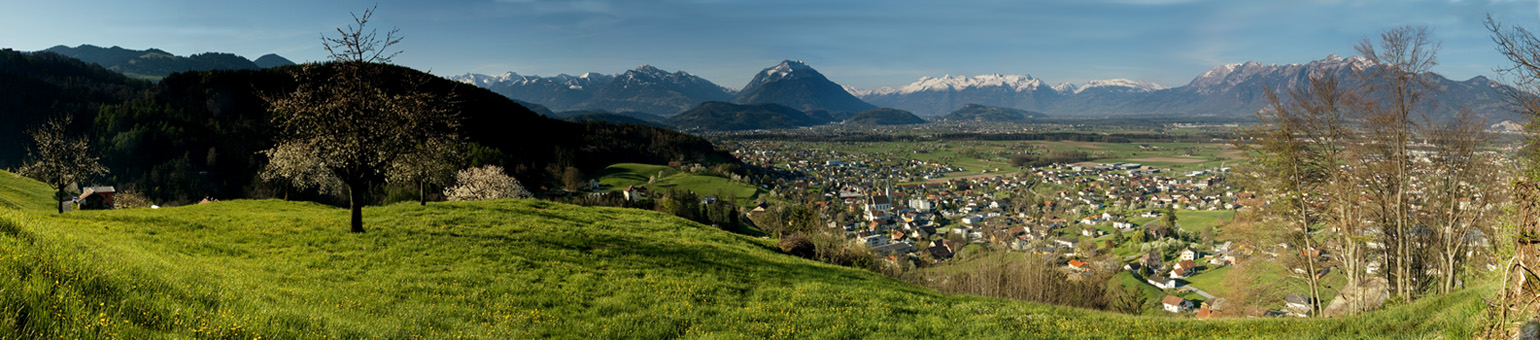 panorama weiler - vorderland