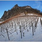 Panorama - Weinberge am Drachenfels