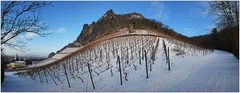 Panorama - Weinberge am Drachenfels