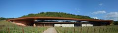 Panorama Weingut Antinori