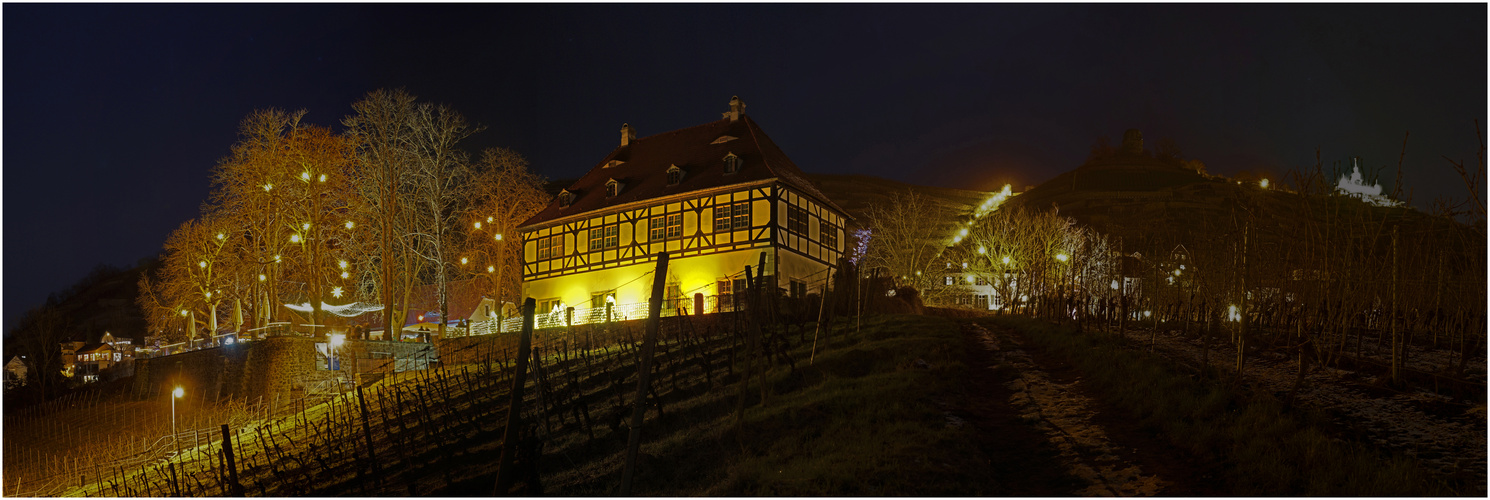 Panorama, Weingut Hoflößnitz Radebeul