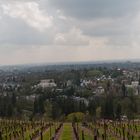 Panorama Wiesbaden