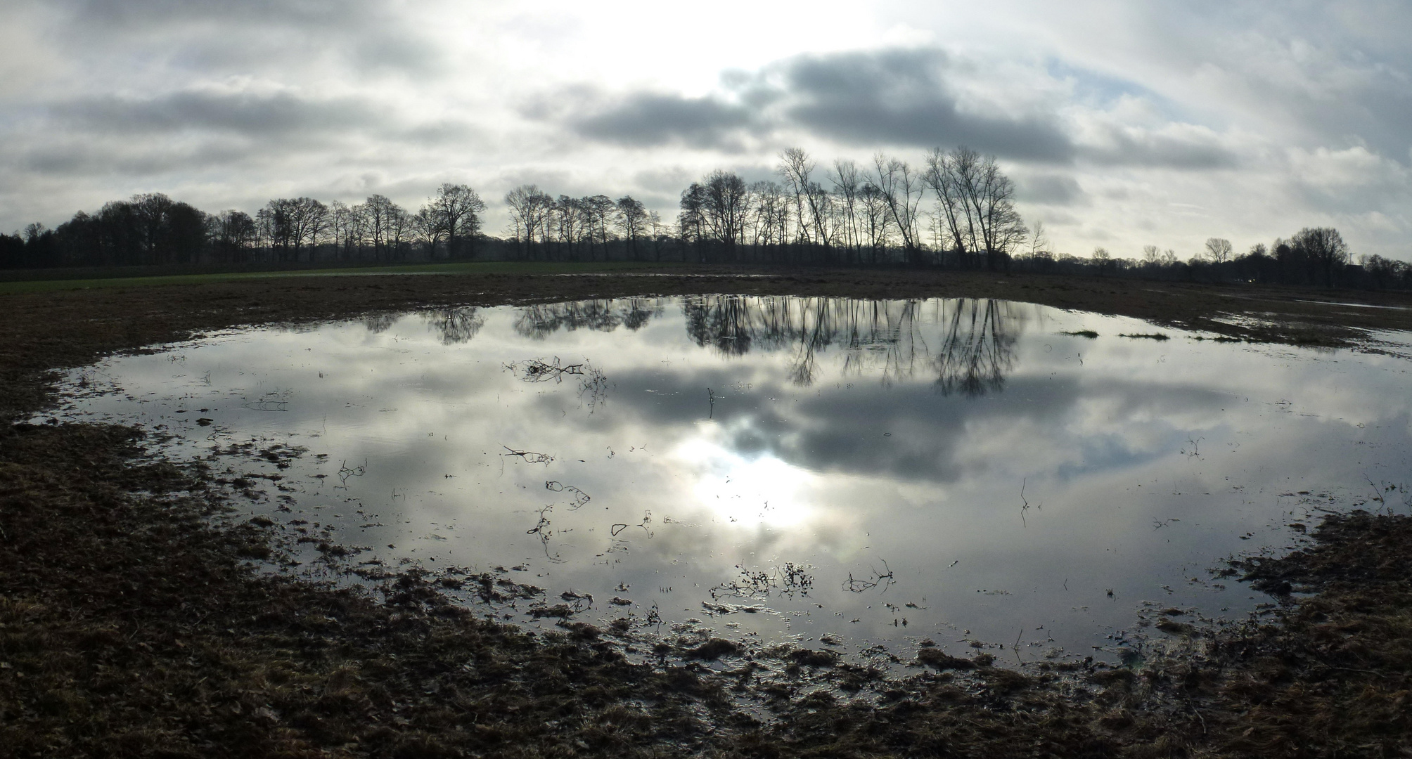 Panorama Wiese bei Tarmstedt im Dezember