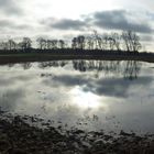 Panorama Wiese bei Tarmstedt im Dezember