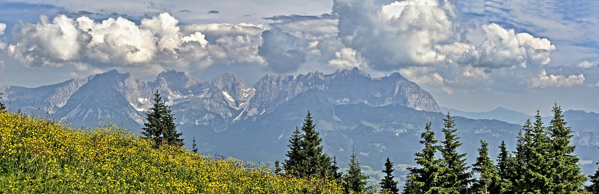 panorama: Wilder Kaiser vom Hahnenkamm