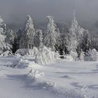 Panorama Winterlandschaft