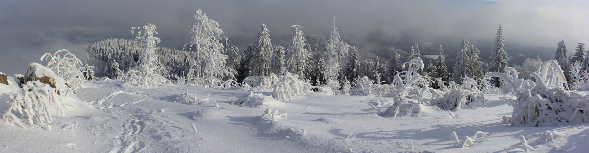 Panorama Winterlandschaft