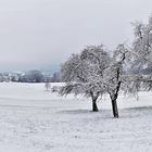       Panorama - Winterlandschaft in Schwäb. Hall