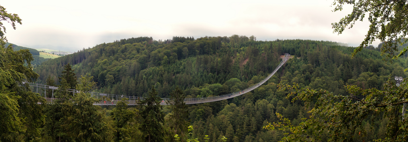 Panoramaansicht des Skywalk Willingen.