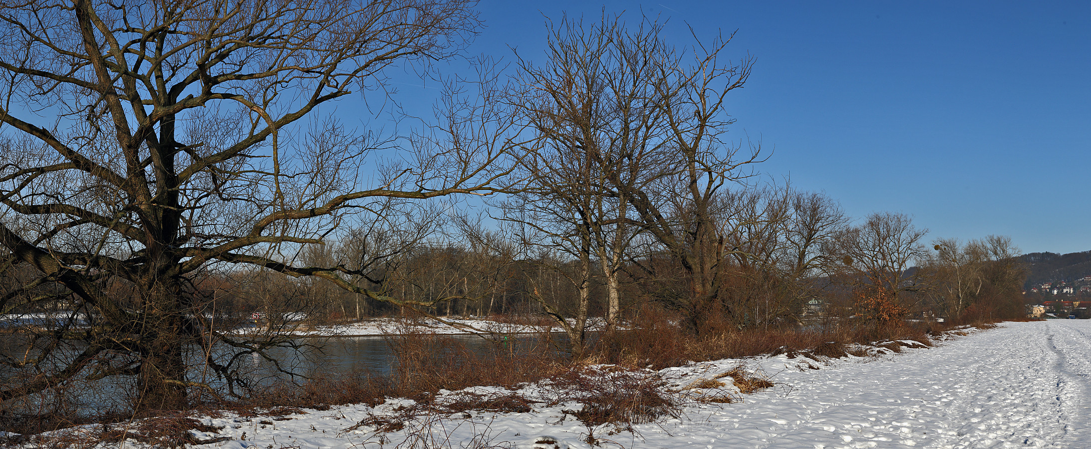 Panoramaausschnitt einer Arbeit mit 900 Pixeln Höhe oberhalb von Pillnitz an der Elbe...