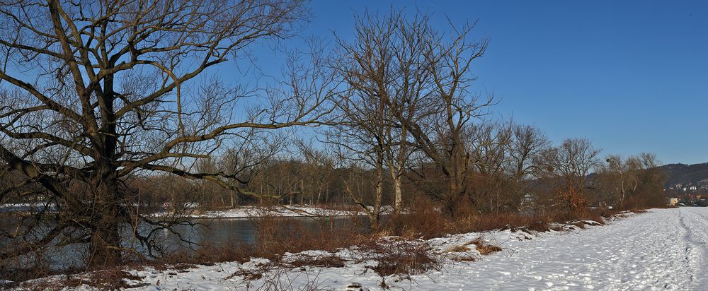 Panoramaausschnitt einer Arbeit mit 900 Pixeln Höhe oberhalb von Pillnitz an der Elbe...