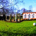 Panoramabild-5 - Blick zum Rosenhaus des Palmengartens 