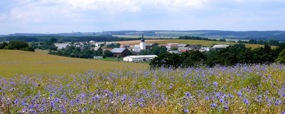 Panoramablick 1