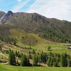 Panoramablick am Hirzer