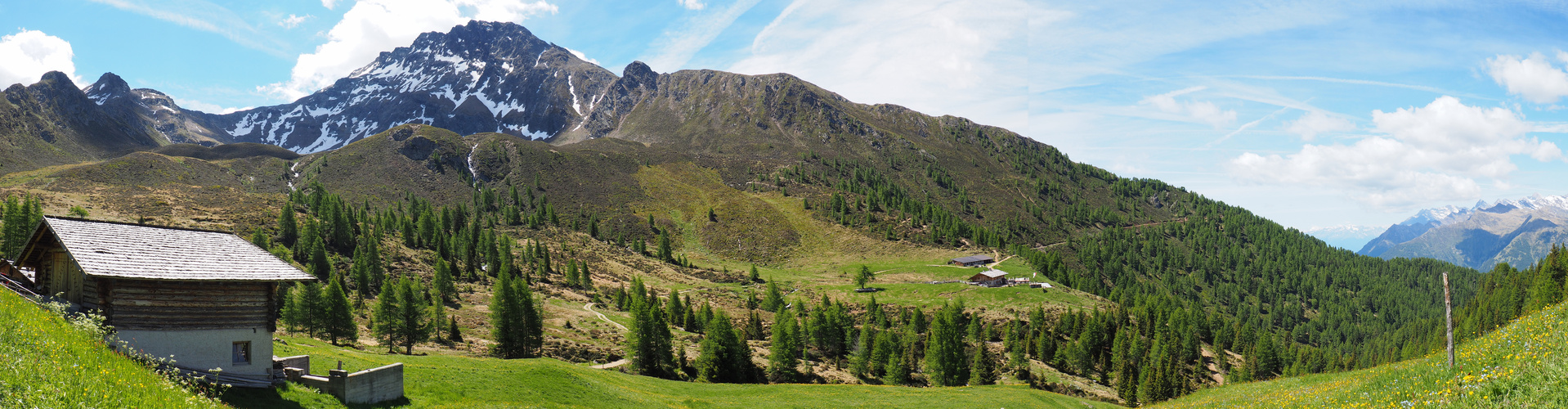 Panoramablick am Hirzer