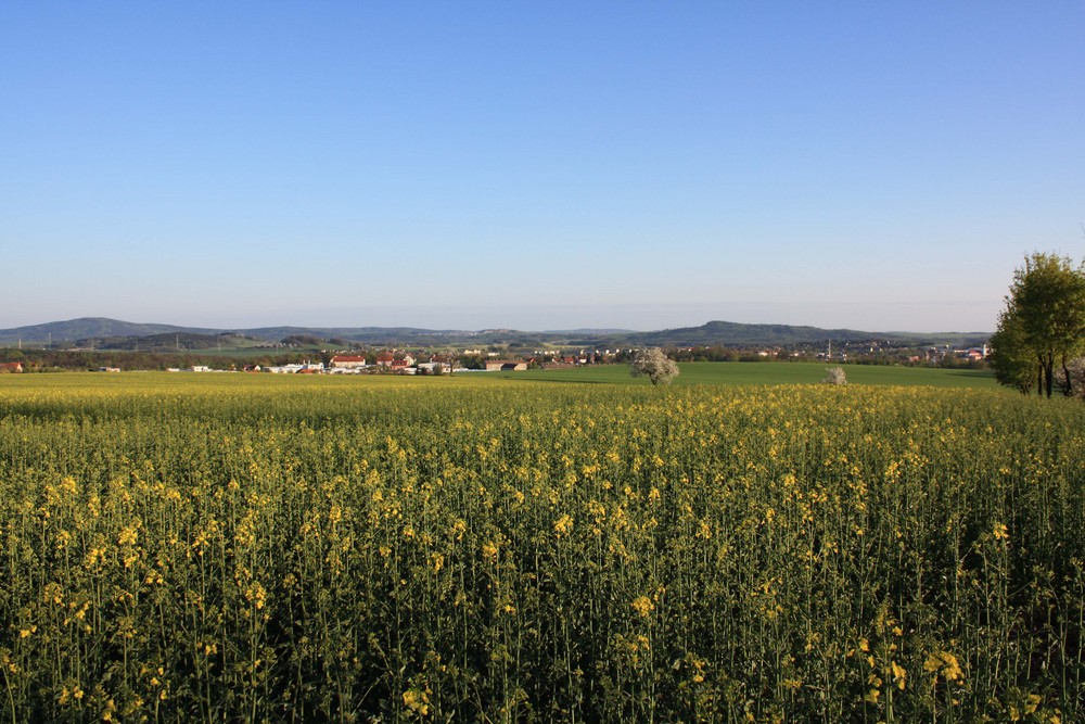 Panoramablick auf Bischofswerda