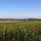 Panoramablick auf Bischofswerda