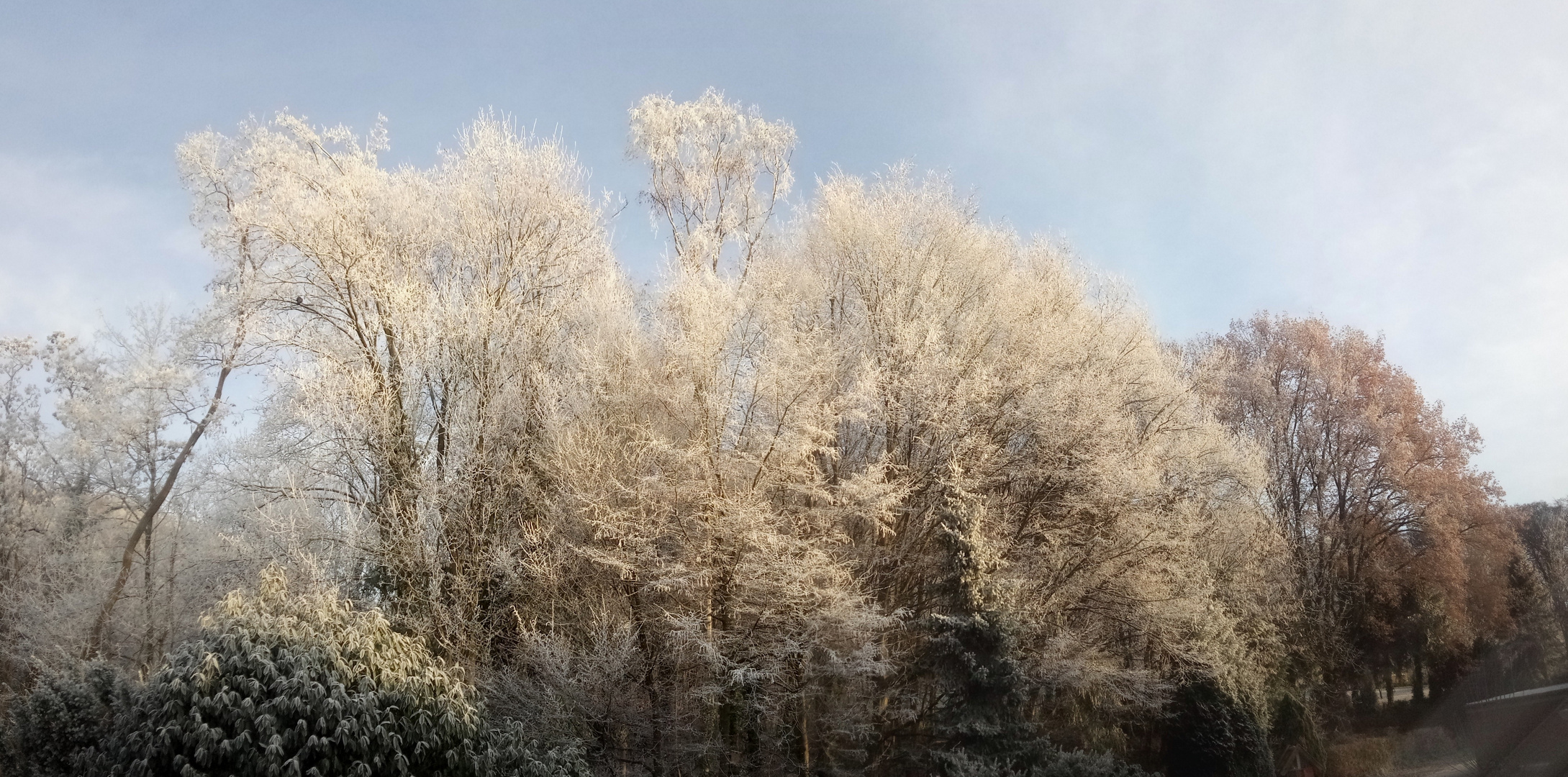 Panoramablick aus dem Bad am Morgen