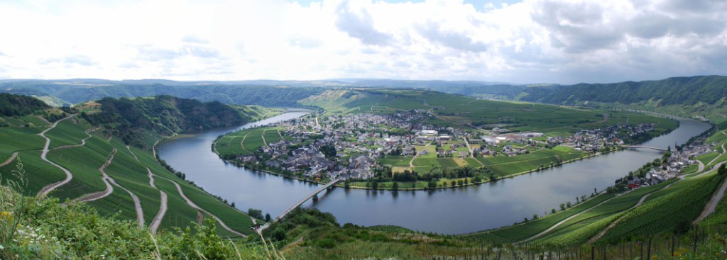 Panoramablick Moselschleife