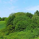 Panoramablick über das Winkhauser Tal