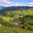 Panoramablick über den Schwarzwald mit Kuh