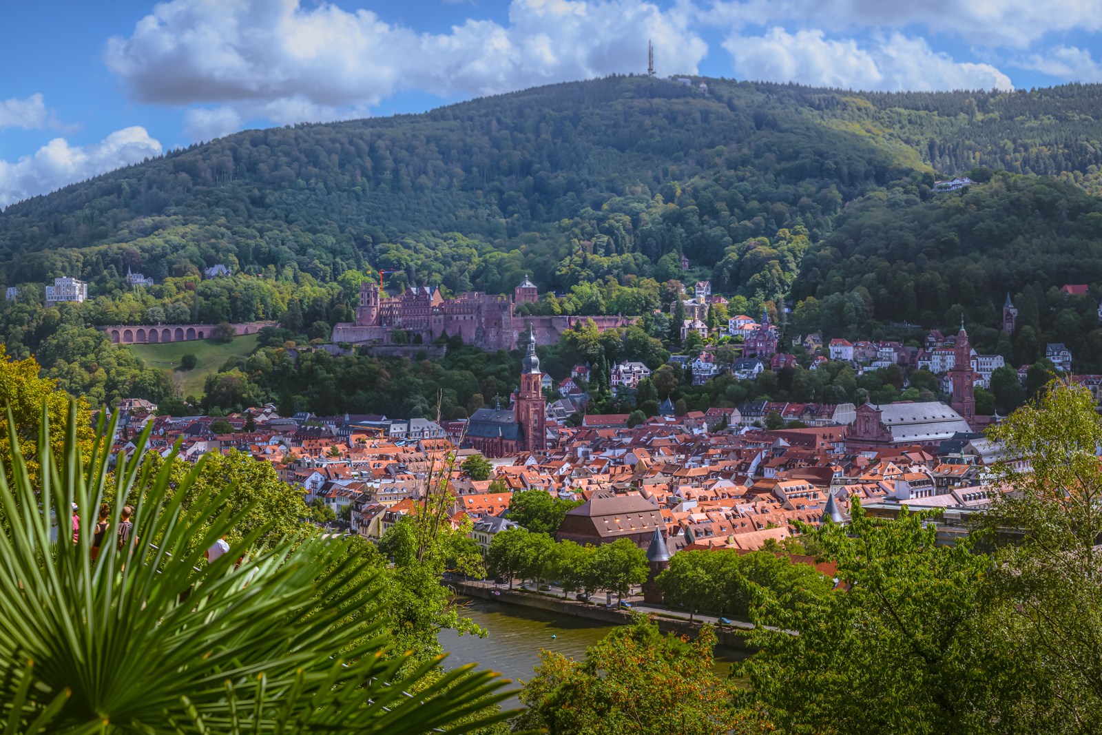 Panoramablick über die Altstadt von Heidelberg