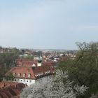 Panoramablick über Freising vom Domberg