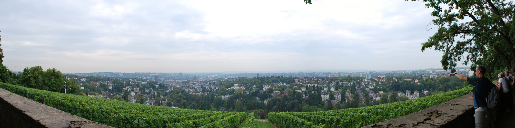 Panoramablick über Wiesbaden